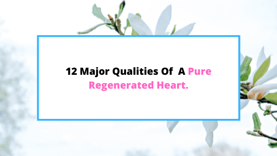 Qualities-of-a-pure-heart