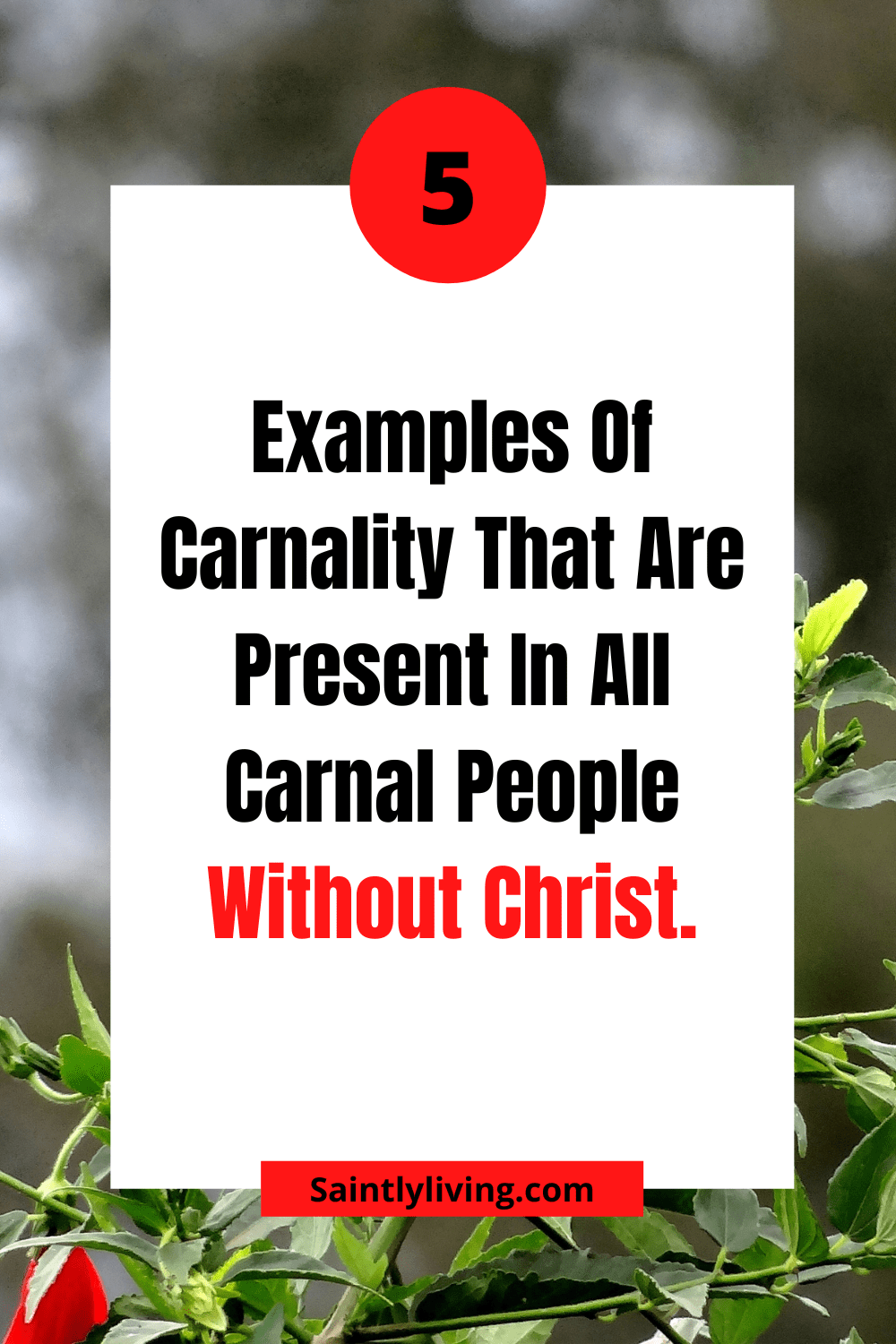 examples-of-carnality