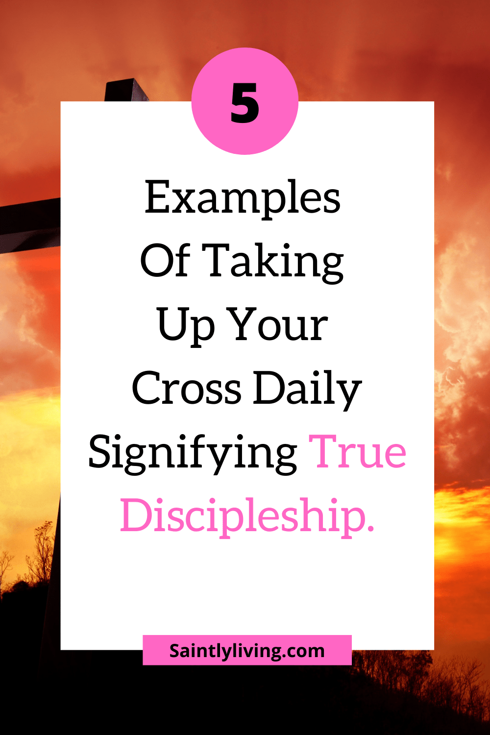 taking-up-your-cross-daily.