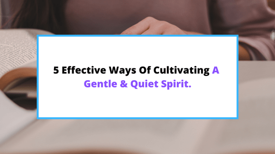 how-to-develop-a-gentle-and-quiet-spirit