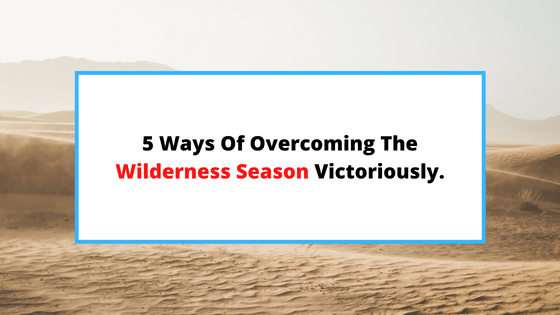 how-to-overcome-the-wilderness-experience