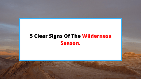 signs-of-the-wilderness-season