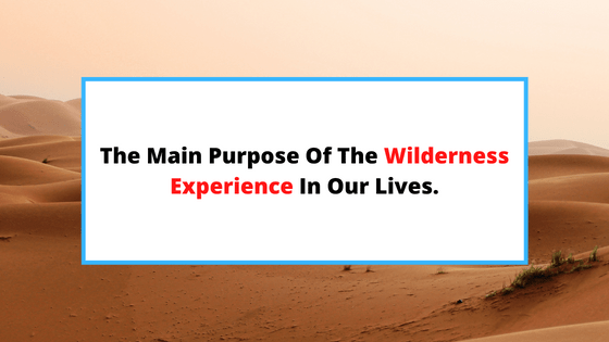 the-purpose-of-the-wilderness-experience
