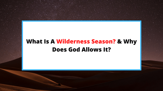 what-is-the-wilderness-season