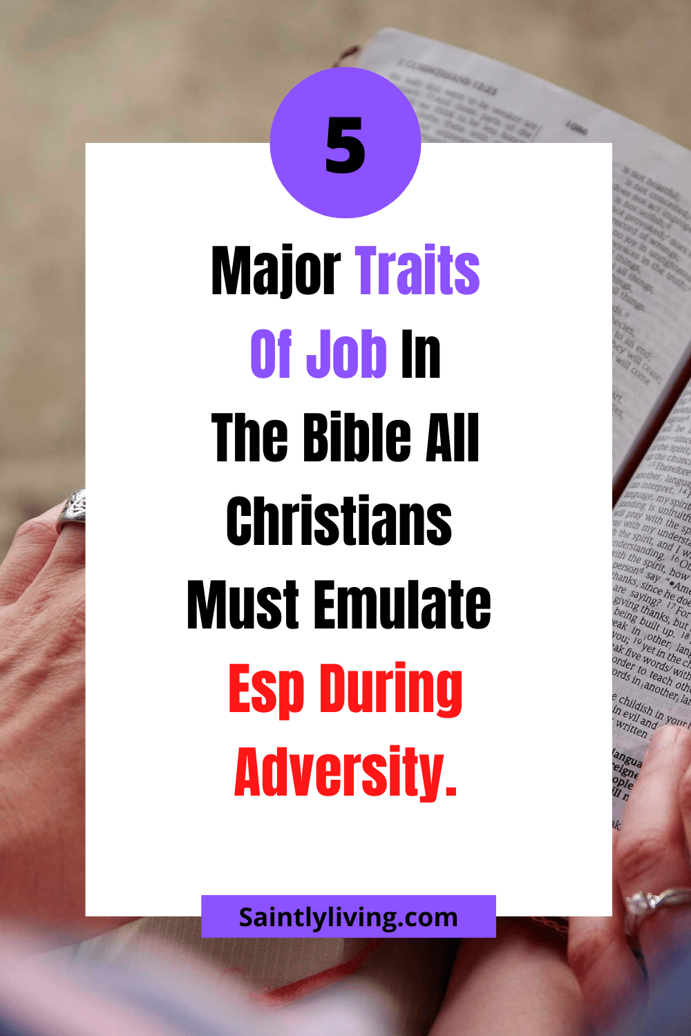 character-of-Job-in-the-bible